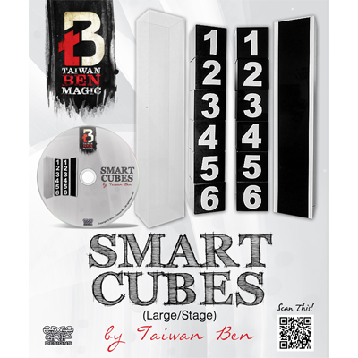 Smart Cubes, Large / Stage by Taiwan Ben