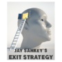 dvexitstragety-full.png