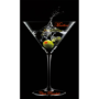 Martini by Chris Randall video (Download) dvmartini-full.png
