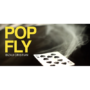 Pop Fly by Bizau Cristian video (Download) dvpopfly-full.png
