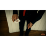 Trixel by Valdemar Gestur video (Download) dvtrixel-full.png