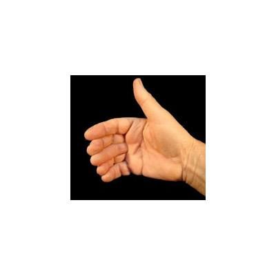 Sixth Finger Vernet, large - Image 2