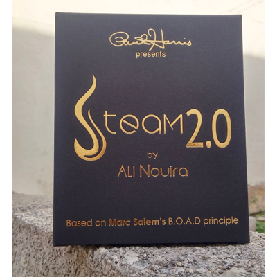 Paul Harris Presents Steam 2.0 by Ali Nouira