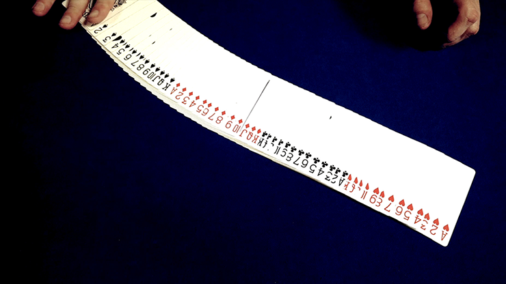 The Real Deal by Landon Swank - Image 2