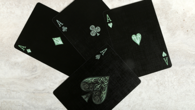 Bicycle Natural Disasters inch Hurricane inch Playing Cards by Collectable Playing Cards - Image 5