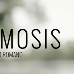 Osmosis, Gimmicks and Online Instructions by Rodrigo Romano and Mysteries