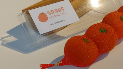 Fruit Sponge Ball, Orange by Hugo Choi - Image 6