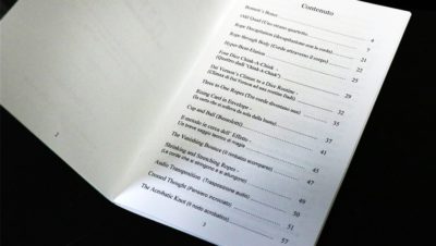 4FXII Lecture, Italian by DARYL - Image 2