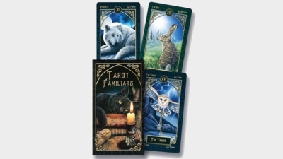 Familiars Tarot by Lisa Parker - Image 4