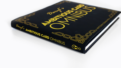 OMNIBUS by DARYL - Image 2