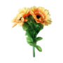 Amazing Split Sunflower by Premium Magic amazingsplitsun-full.png