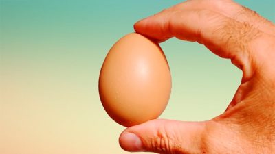 Fake Egg Brown by Quique Marduk - Image 2
