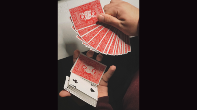 Slow Hands Playing Cards - Image 4
