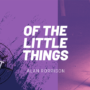 The Vault - Of the Little Things V1 by Alan Rorrison video (Download) 67343-full.png