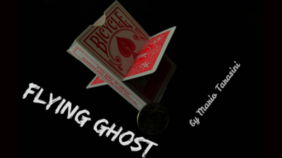 Flying Ghost by Mario Tarasini video (Download)