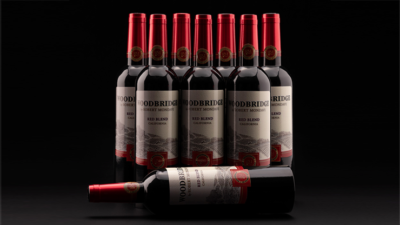 Skybridge Multiplying Wine Bottles by Tora Magic - Image 2