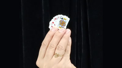 REVERSE CARD by JL Magic - Image 4