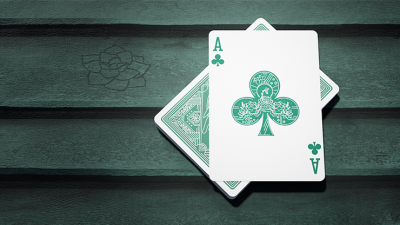 Succulents Playing Cards - Image 6