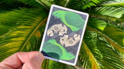 Bicycle Parrot Extinct Playing Cards - Image 5