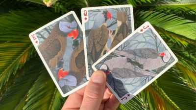 Bicycle Parrot Extinct Playing Cards - Image 6
