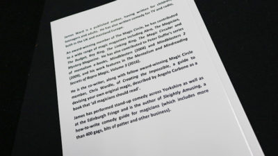 MAGIC WITH MEANING by James A Ward - Image 3