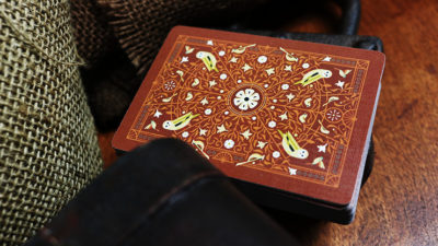 Bicycle Aviary, Orange Playing Cards - Image 2