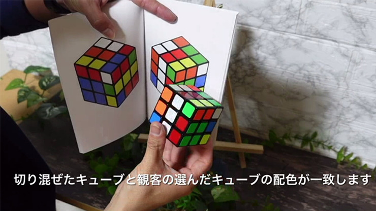 Book Cube Change SET by SYOUMA & TSUBASA - Image 3