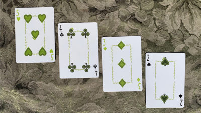 Bicycle Caterpillar, Dark Playing Cards - Image 4