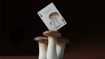 Eastern Forest Playing Cards by Art of Play - Image 2