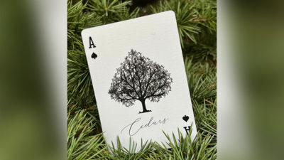 Cedar Playing Cards - Image 4