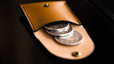 Pocket Portal, Dollar by Samuel King - Image 3