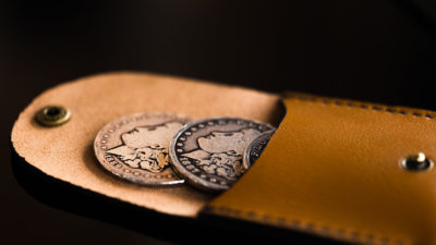 Pocket Portal, Dollar by Samuel King - Image 4