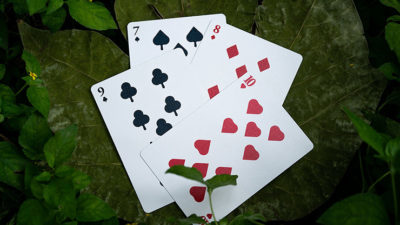 Solstice Playing Cards by Kings Wild - Image 6
