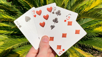 Bicycle Dinosaur Stripper Playing Cards - Image 2