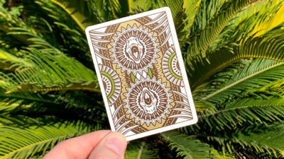 Bicycle Dinosaur Stripper Playing Cards - Image 3