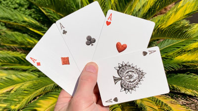 Bicycle Dinosaur Stripper Playing Cards - Image 4