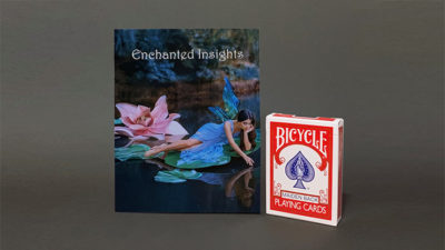 ENCHANTED INSIGHTS RED, Japanese Instruction by Peter Wallace - Image 3