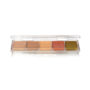 AAP23-Concealer_Alcohol_Palette[1]