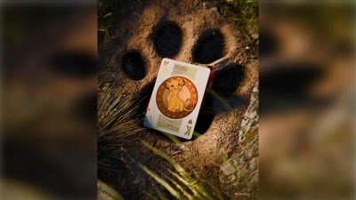 Bicycle Disney Lion King Playing Cards by US Playing Co - Image 3