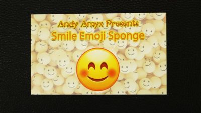 Sponge Emoji SMILE FACE, 4PK. by Andy Amyx