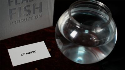 Flash Fish Production by LT Magic - Image 3
