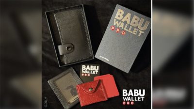 BABU Wallet Pro by GRUM - Image 5