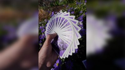 Dream of Butterflies by YD Cards - Image 3