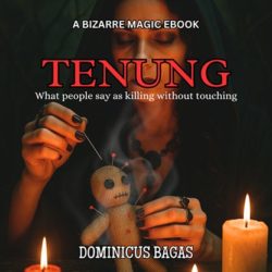 Tenung by Dominicus Bagas eBook (Download)