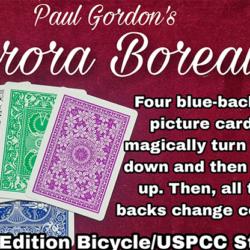 Aurora Borealis by Paul Gordon