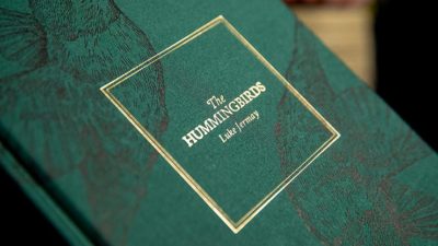The Hummingbirds by Luke Jermay - Image 6