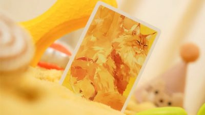 Cat & Dog Playing Cards by TCC Fashion - Image 6