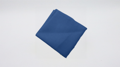 Silk 9 inch single, Light Blue Magic by Gosh