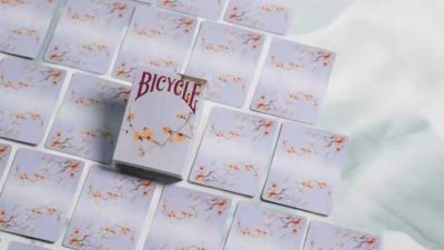 Bicycle Seasons, Winter Edition Playing Cards - Image 4