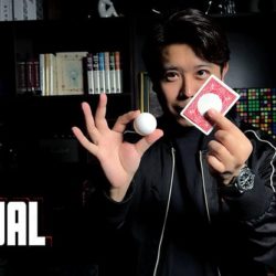 Ball on Card, Red by Bond Lee & MS Magic